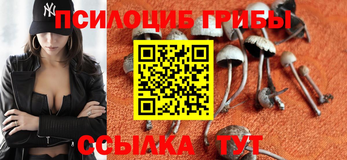 где купить   Псилоцибиновые грибы GOLDEN TEACHER  Рассказово  Вход с VPN  Псилоцибиновые грибы Cubensis 