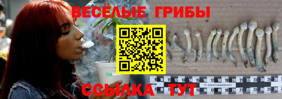 Псилоцибиновые грибы Magic Shrooms Рассказово